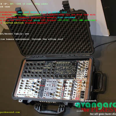 NEW! Avantgarde Sound • The Peresvet • 186hp Fully Powered Eurorack Case w/Wheels! image 2