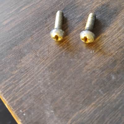1960s-1970s Fender Stratocaster telecaster switch Screw pair 3/8" domed top/flat bottom parts for luthier project restoration Tele 60s 70s image 1