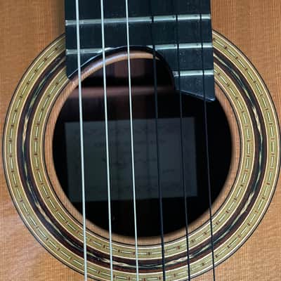 Greg Gregory Byers Lattice Braced 2016 - French Polish image 19