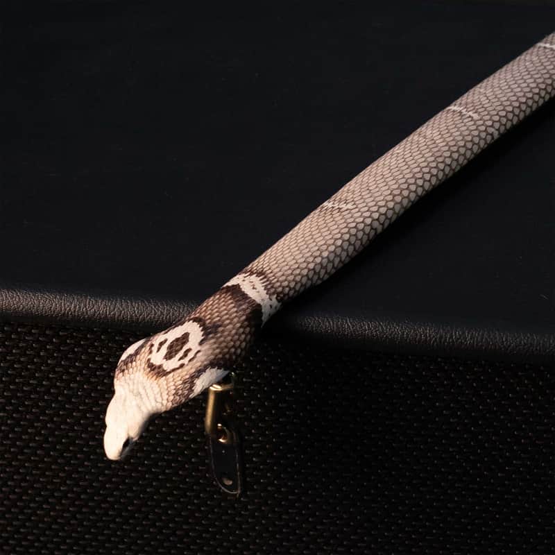 SAVAGE GUITAR STRAPS FULL TAXIDERMY COBRA image 1