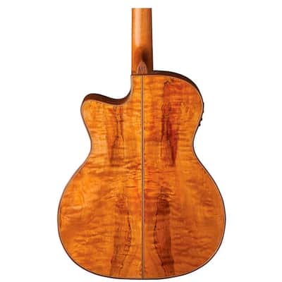 Washburn WCG66SCE Comfort Series Grand Auditorium with Electronics image 11