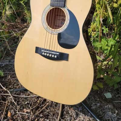Jay Turser JJ43 3/4 sized dreadnought acoustic guitar with soft case image 3