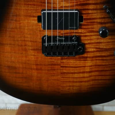 Sterling Sabre with Roasted Maple Fretboard - Cobra Burst image 6