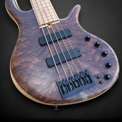 Elrick EVO Gold 5 String Figured Walnut 2025 - Natural image 4