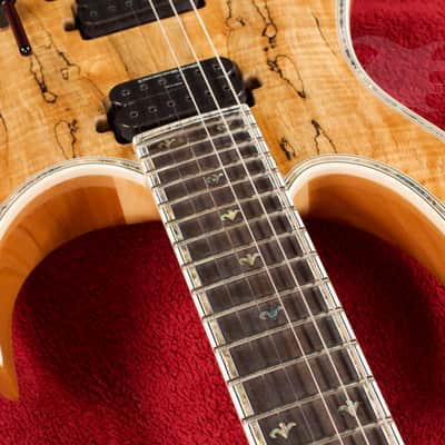 B.C. Rich Shredzilla Prophecy Archtop with Floyd Rose Spalted Maple image 6