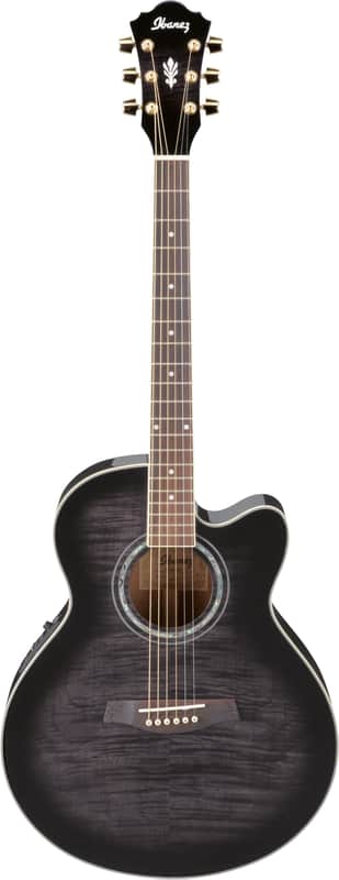 Ibanez AEL20E / AEL40SEジャンク ケース付 Ibanez AEL20E TKS