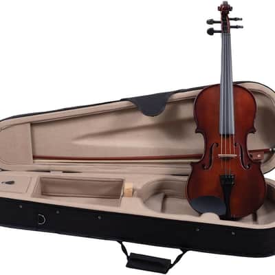 Palatino Model VN-350-1/8 Campus Violin Outfit, 1/8 Size with Case, bow & More image 1
