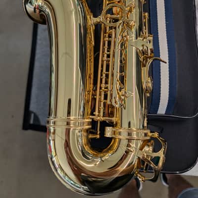 Ripa 5030VFRGL-SS Sax Alto Special image 6
