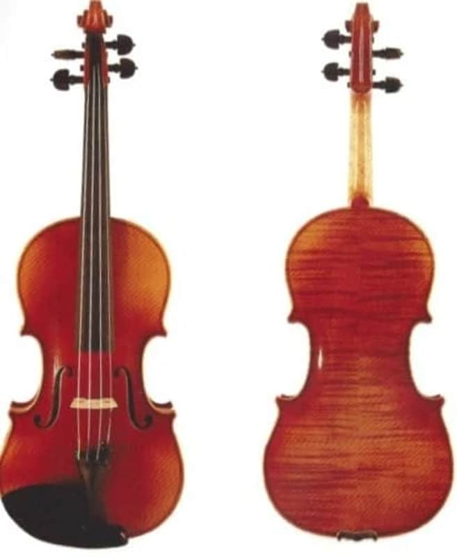 DZ Strad Violin - Model 120 - High-Grade Carved Top imagen 1