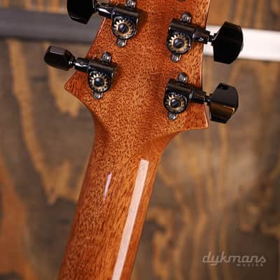 PRS Wood Library Custom 24-08 River Blue image 13