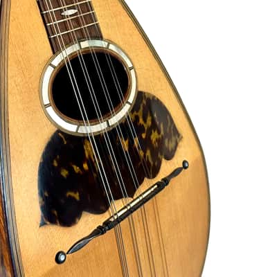 Gennaro & Achille Vinaccia Neapolitan Mandolin 1898 image 5