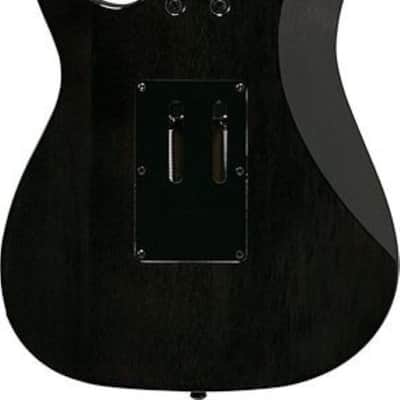 Ibanez Ibanez RG450QMBTGB Electric Guitar-Transparent Gray Burst image 3