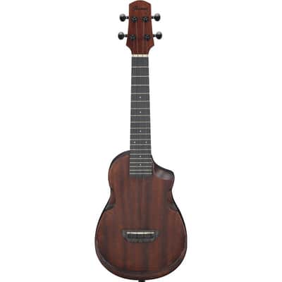Ibanez AUC14 Concert Ukulele