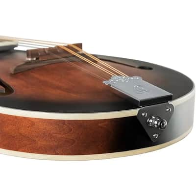 Ortega RMA30-WB-L Americana Series Spruce Top Mahogany Back & Sides A-Style 8-String Mandolin For Left Hand Player image 13