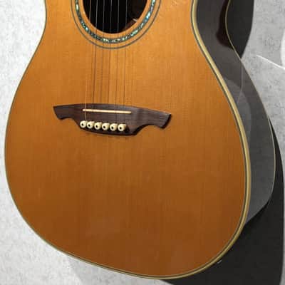 Immagine Wechter NV5413ce Natural - 2