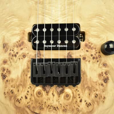 Charvel Pro-Mod DK24 HH HT E Mahogany with Poplar Burl Top 2923gr image 3