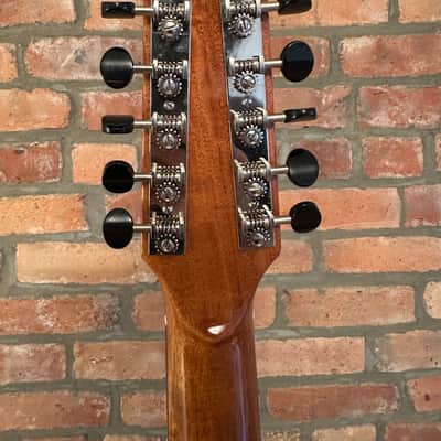 Circle Strings Acoustic Guitar 10-String Walnut and Sinker Redwood Rare Custom image 8