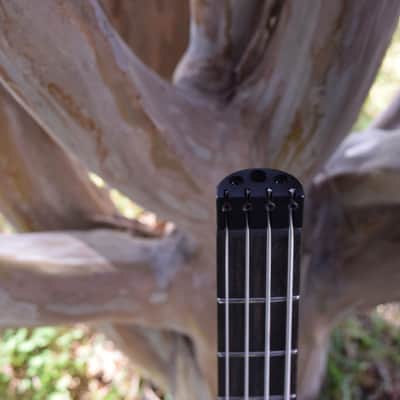Kiesel Vader Bass , left handed 4 string model , Beautiful specimen, Ash body image 20