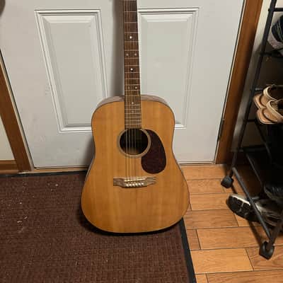 MARTIN DM (ROAD SERIES) acoustic guitars for sale in USA | guitar-list