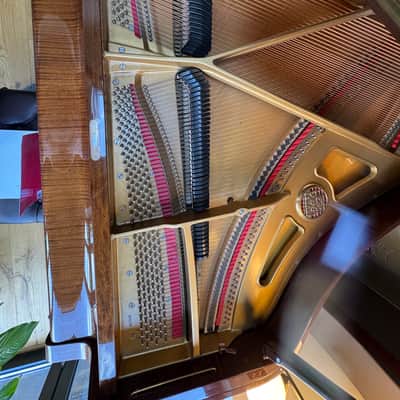 Immagine Petrof Baby Grand Piano 1990’s - Mahagony - 10