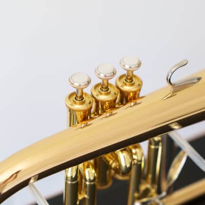 Yamaha YFH-8315G Custom Bb Flugelhorn (SN 4605xx) image 8