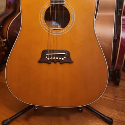 Epiphone   Excellente FT 120 Acoustic Electric Guitar image 3