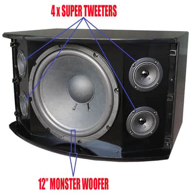Singtronic Professional 3000W Complete Karaoke System Built in Anti-Feedback image 5