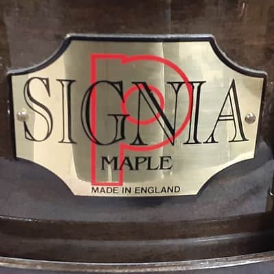 Premier 75th Anniversary Signia 14x5.5" 10-Lug Maple Snare Drum with Wood Hoops, Gold Hardware 1997 - Ebony image 12