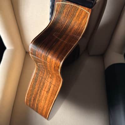 Tomas Fiore Classical Cutaway Crossover Brazilian Rosewood MiSi Pickup Stauffer Style Neck image 12