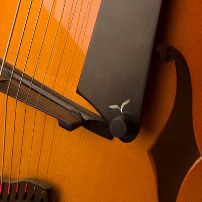 NEW PRICE! 18 " Benedetto "Custom 7 String" (like La Venezia model) 1993 Autumn sunburst Offers OK image 12