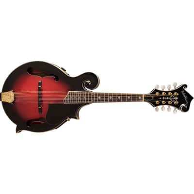Washburn M3SWETWRK Americana Series Florentine F-Style 8-String Acoustic-Electric Mandolin w/Hardshell Case image 7