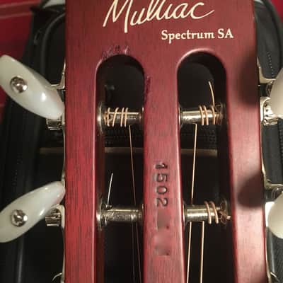 Godin Multiac Spectrum SA 2015 Black image 14