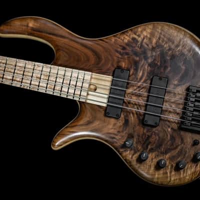 Elrick Handcarved eVolution Gold Series Bass Guitar 2019 - Figured Walnut image 11