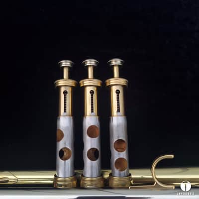 Henri Selmer Paris CONCEPT TTM Twin Tube trumpet case mouthiece gamonbrass image 16