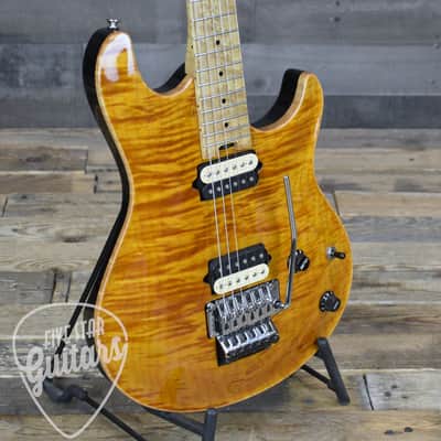 Pre-Owned Peavey HP Special Tiger Eye with Hardshell Case image 9