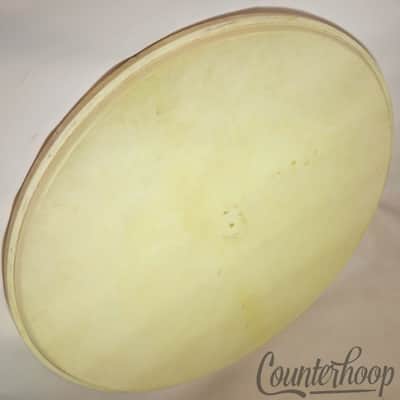 Gretsch 22"Broadkaster Calf Skin Bass Drum Head Professional Quality Vintage 40s image 1