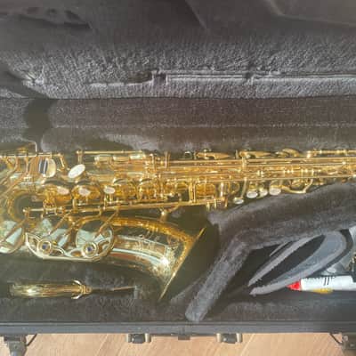 Yanagisawa A-WO10 Alto Saxophone 2016 image 1