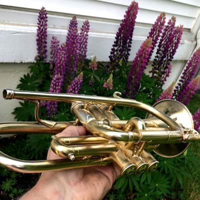 EXCELLENT SPECIAL ORDER LP CORNET F. BESSON BREVETE NEW CREATION 1923 GOLD PLATED LOVELY ENG. TO THE TOP / GREAT COMPRESSION image 11