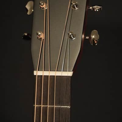 Eastman E10D-TC “Thermo Cure” 2026 - Natural image 3