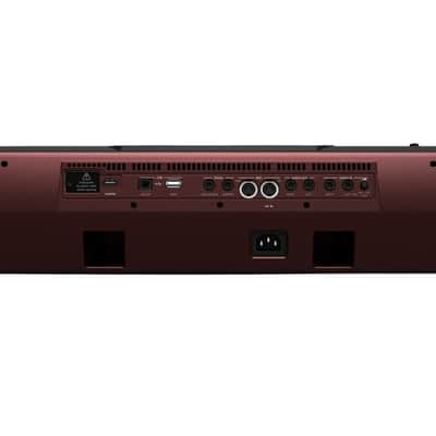 Korg PA1000 61-Key Professional Arranger image 3