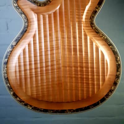 1964 HOYER BIANKA big Archtop Guitar. Holy grail vintage guitar! image 7