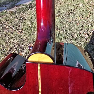 Washburn 12-string mid 90's - Rosewood & Spruce image 10