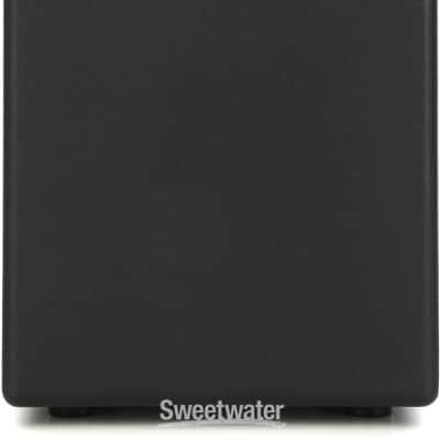 Positive Grid Spark Cab 140-watt 1 x 10-inch Powered Speaker Cabinet - Black (PGSparkCabd2) image 7