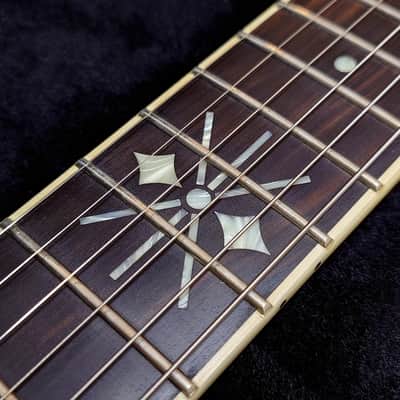 TEYE Guitars TEYE Guitars Coyote -2014 NAMM Show Special- Jimmy Wallace Spec image 8
