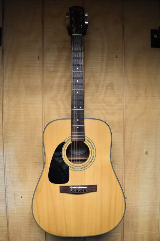 Fender DG-10LH Acoustic Guitar W/ Case image 1