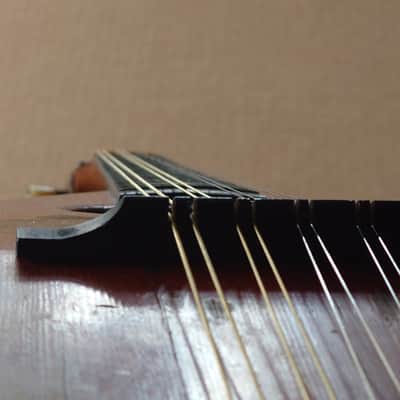 Rare Schwarzer Model 120 "Echo" bowl back mandolin Circa 1900 image 16
