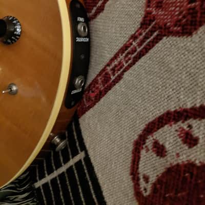 Hamer Duo Tone image 7