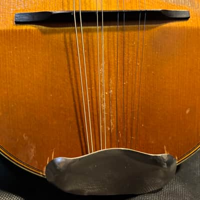 Bruno Bowlback Mandolin - Brazilian RW & Birds Eye Maple - Early 1900s - Great Player - All Org. - Case - Ships FREE!!! image 3