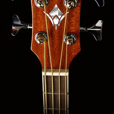 Washburn Acoustic Bass AB5 Natural w/Gigbag image 8