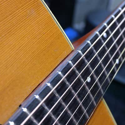 Eko Ranger VI Electroacoustic (Hard Case included) image 22
